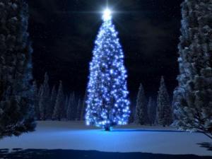 Christmas Wallpaper-047